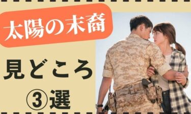 まだ見てない!?「太陽の末裔」が面白すぎた！見どころポイント3つと感想！