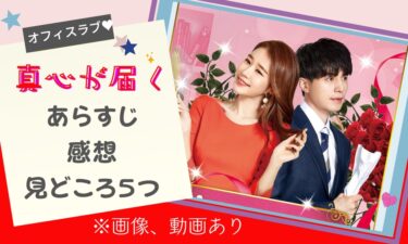 オフィスラブ好き必見☆韓国ドラマ『真心が届く』感想、見どころを5つ紹介!