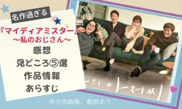 『マイ・ディア・ミスター〜私のおじさん〜』感想＆見どころ⑤選!最終回は涙が止まらない…