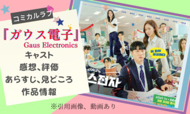 韓国ドラマ『ガウス電子』って日本で見れる!? 感想、あらすじ、キャスト、配信状況を紹介