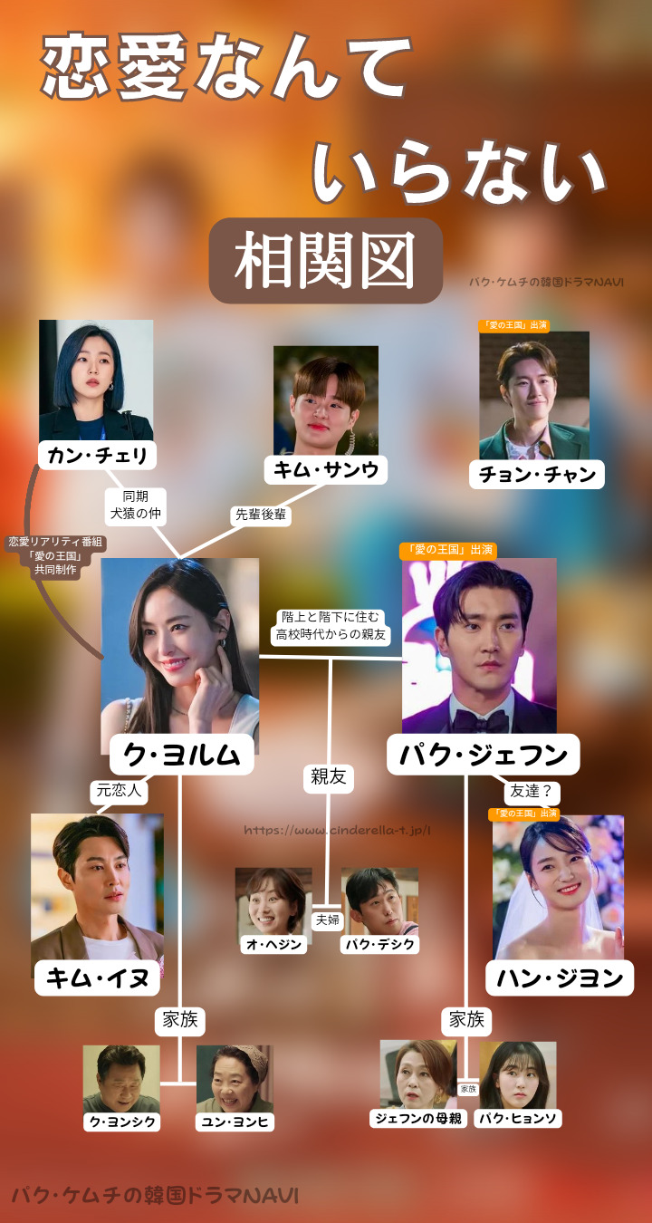 アラフォー必見 韓国ドラマ 恋愛なんていらない 視聴感想 相関図 あらすじ キャスト 配信状況 パク ケムチの韓国ドラマnavi