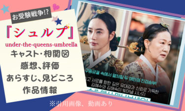 韓国ドラマ『シュルプ』時代劇版お受験戦争!? 感想&評価、キャスト&相関図、見どころ紹介