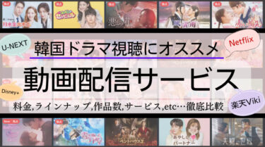 韓国ドラマ視聴にオススメ動画配信サービス11社の比較一覧※料金、作品名、選ぶポイント⑤選も紹介